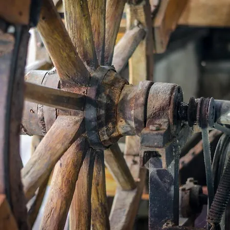 Kalypso Hotel Primorsko