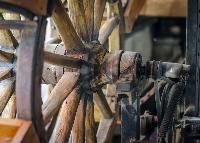 Kalypso Hotell Primorsko