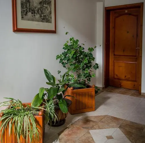 Hotell Kalypso Primorsko